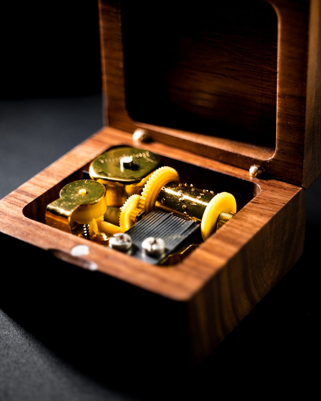 PREMIUM HONNEBOX *Best Selling*